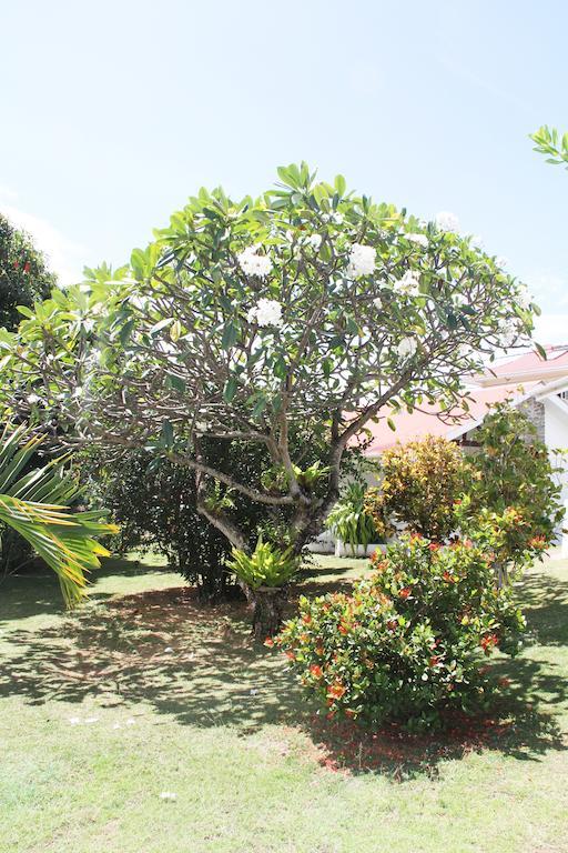 Daniella'S Bungalows Bel Ombre Luaran gambar